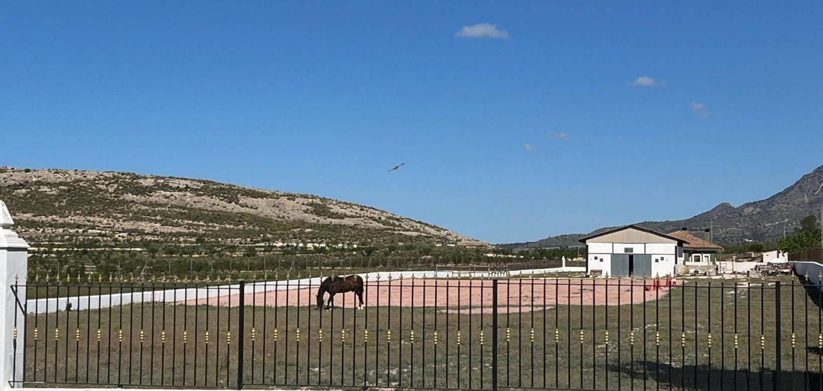 Wederverkoop - Villa - Torre del Rico - 
