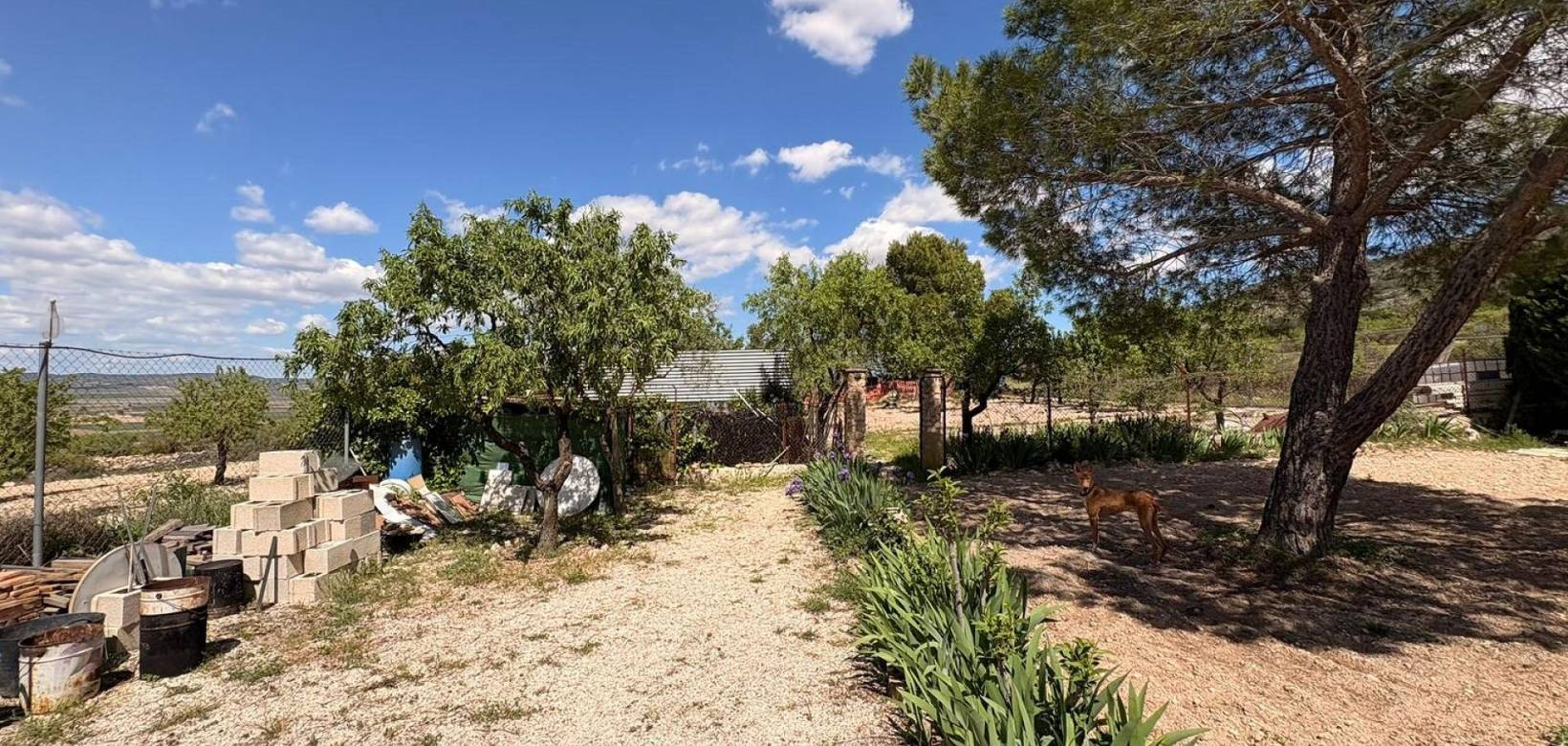 Wederverkoop - Villa - Yecla