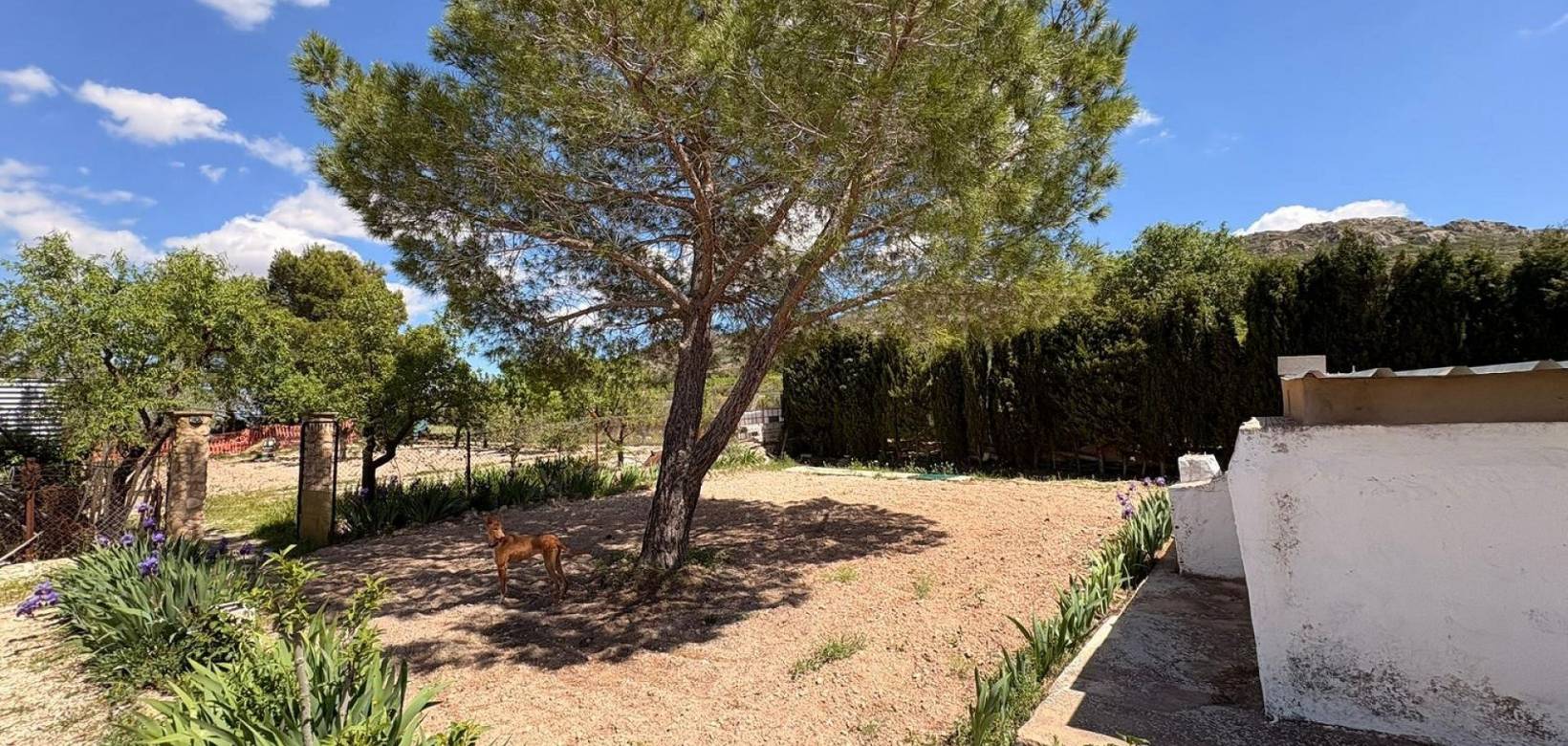 Wederverkoop - Villa - Yecla