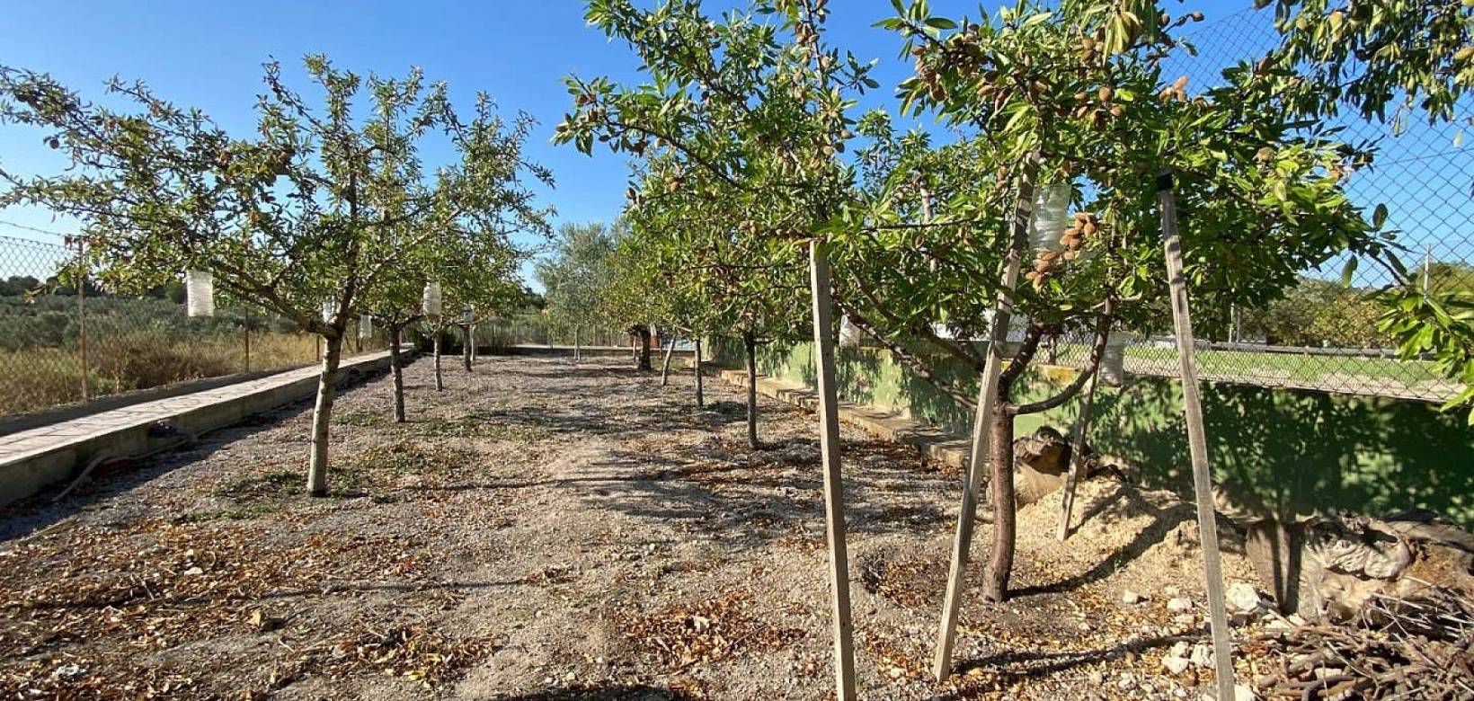 Wederverkoop - Villa - 