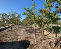 Wederverkoop - Villa - 