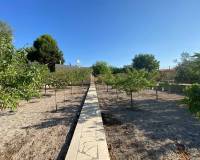 Wederverkoop - Villa - 