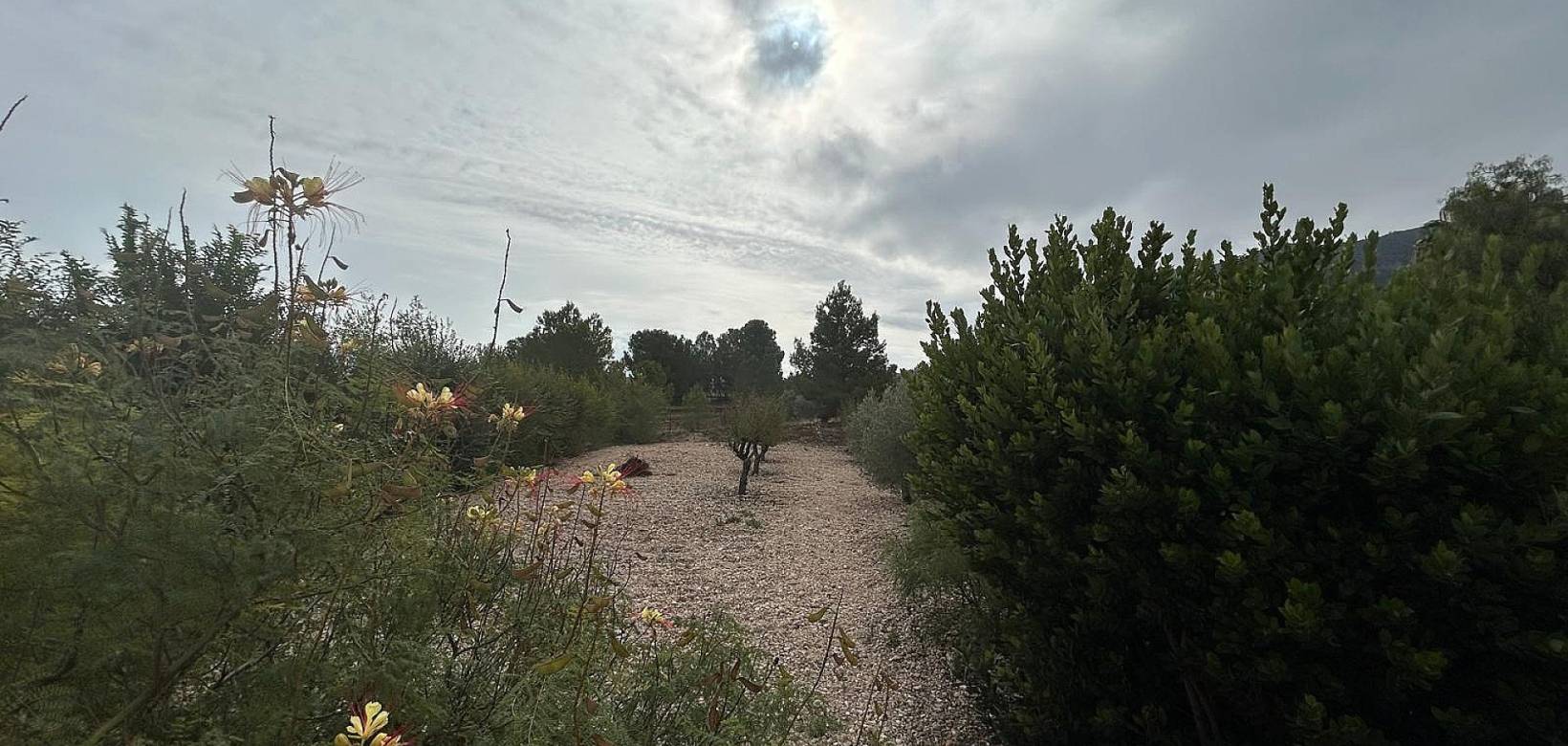 Wederverkoop - Villa - 