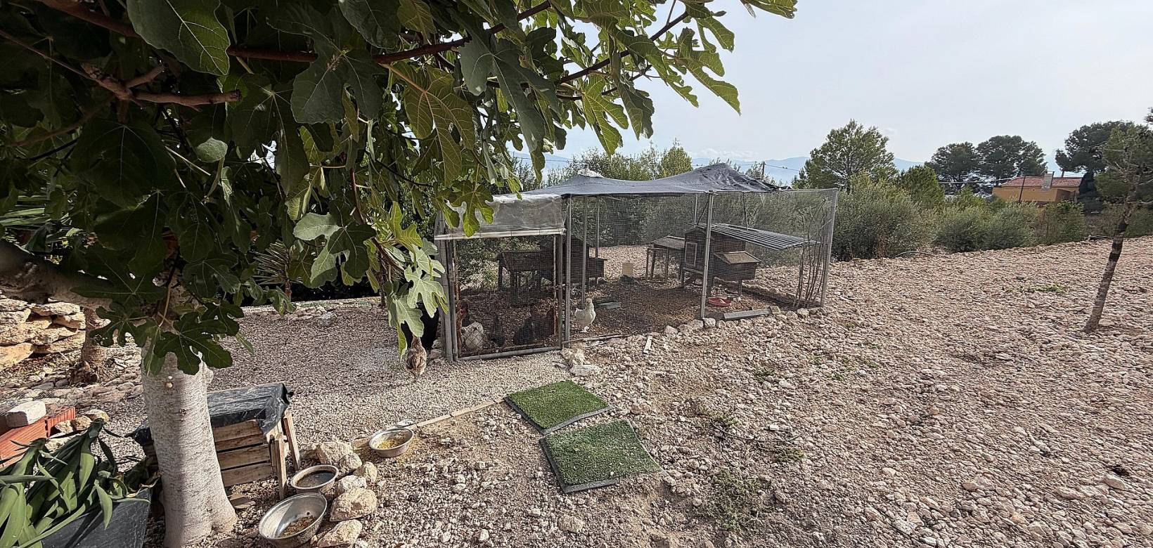 Wederverkoop - Villa - 