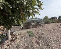 Wederverkoop - Villa - 