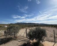 Wederverkoop - Villa - 