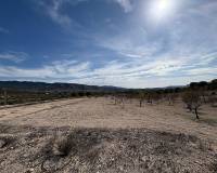 Wederverkoop - Villa - 