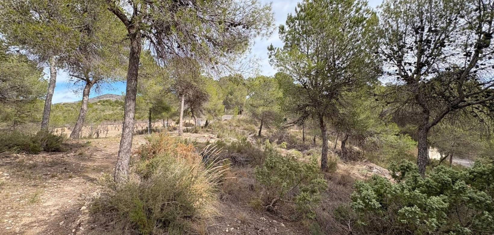 Wederverkoop - Villa - 