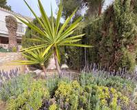 Wederverkoop - Villa - 