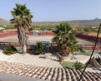 Wederverkoop - Villa - 