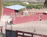 Wederverkoop - Villa - 