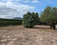 Wederverkoop - Villa - 