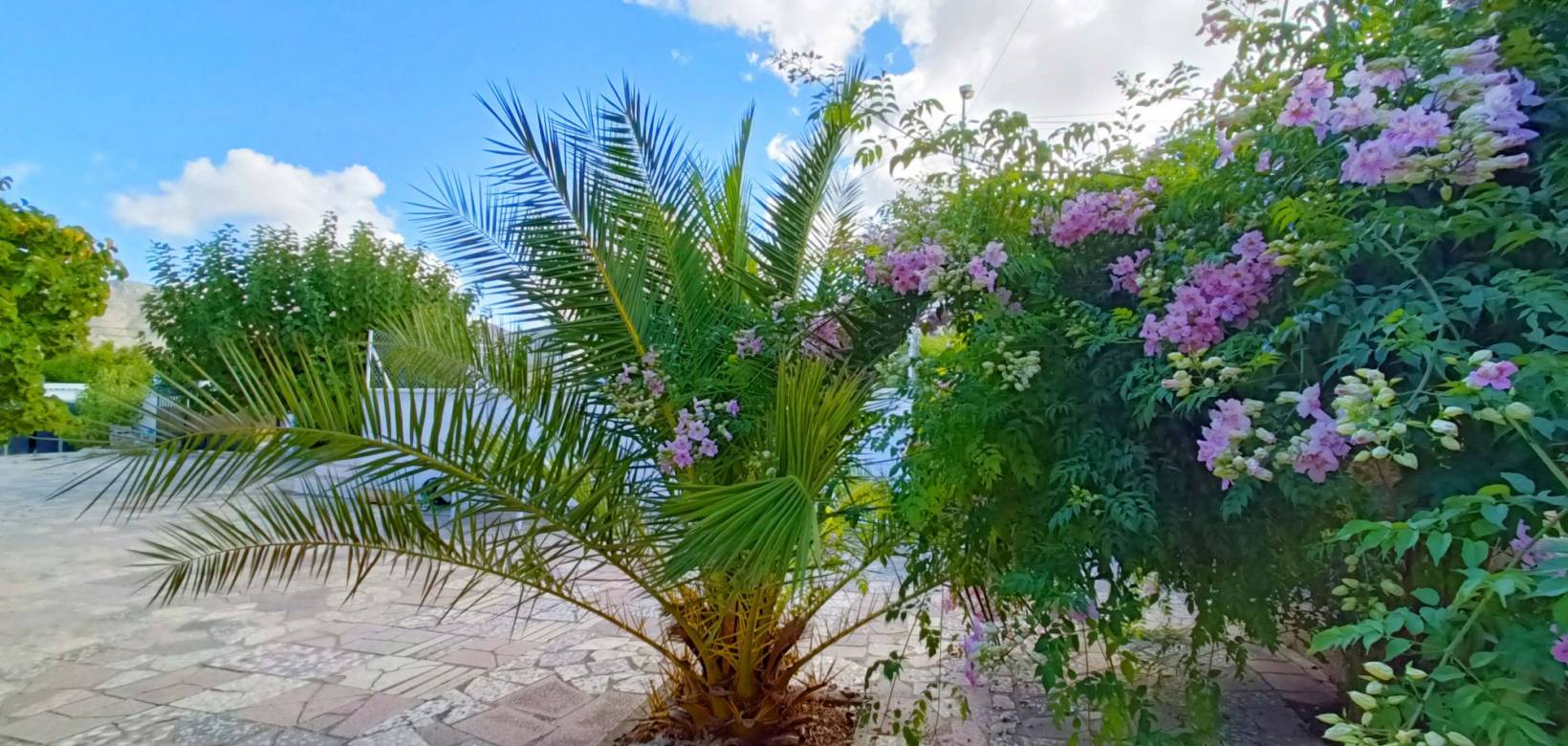 Wederverkoop - Villa - 