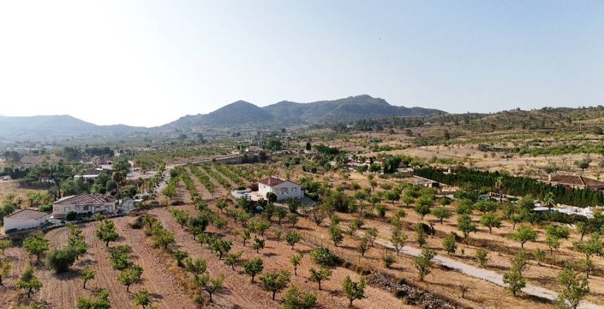 Discover Hondon de los Frailes: Nature, History, and Charming Villas