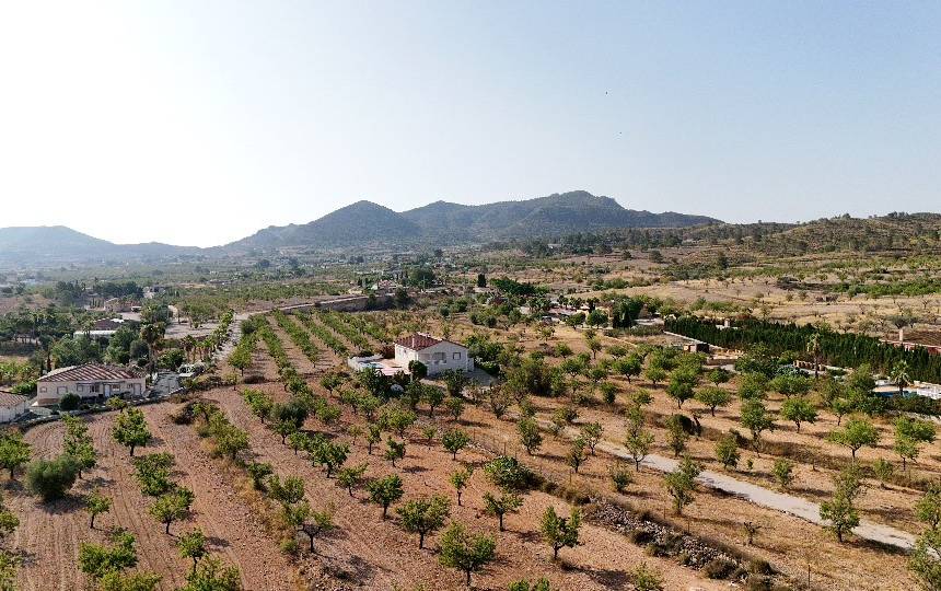 Discover Hondon de los Frailes: Nature, History, and Charming Villas