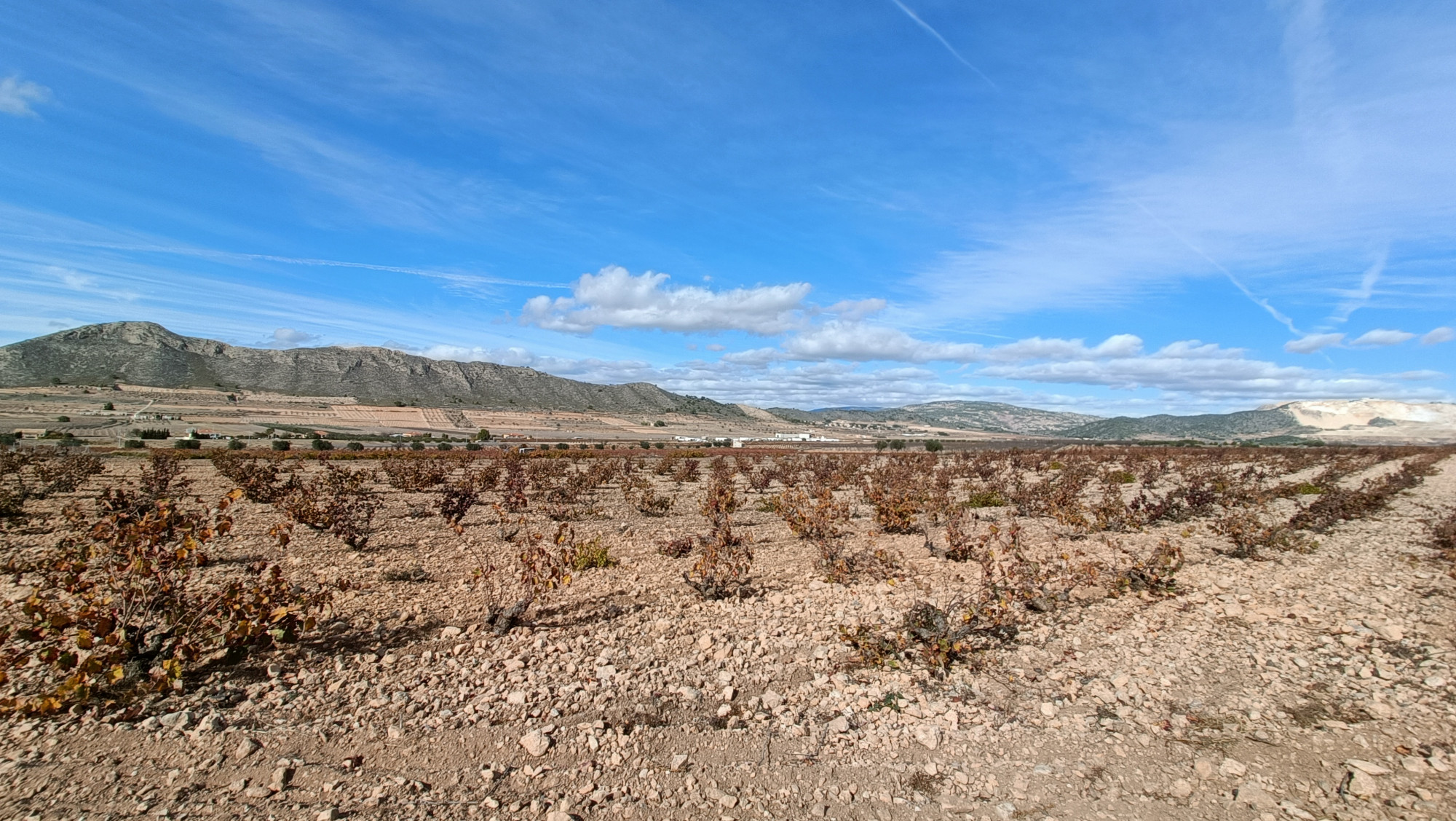 New Build Villa with 3 Bedrooms in Cañada de la Leña and Pool