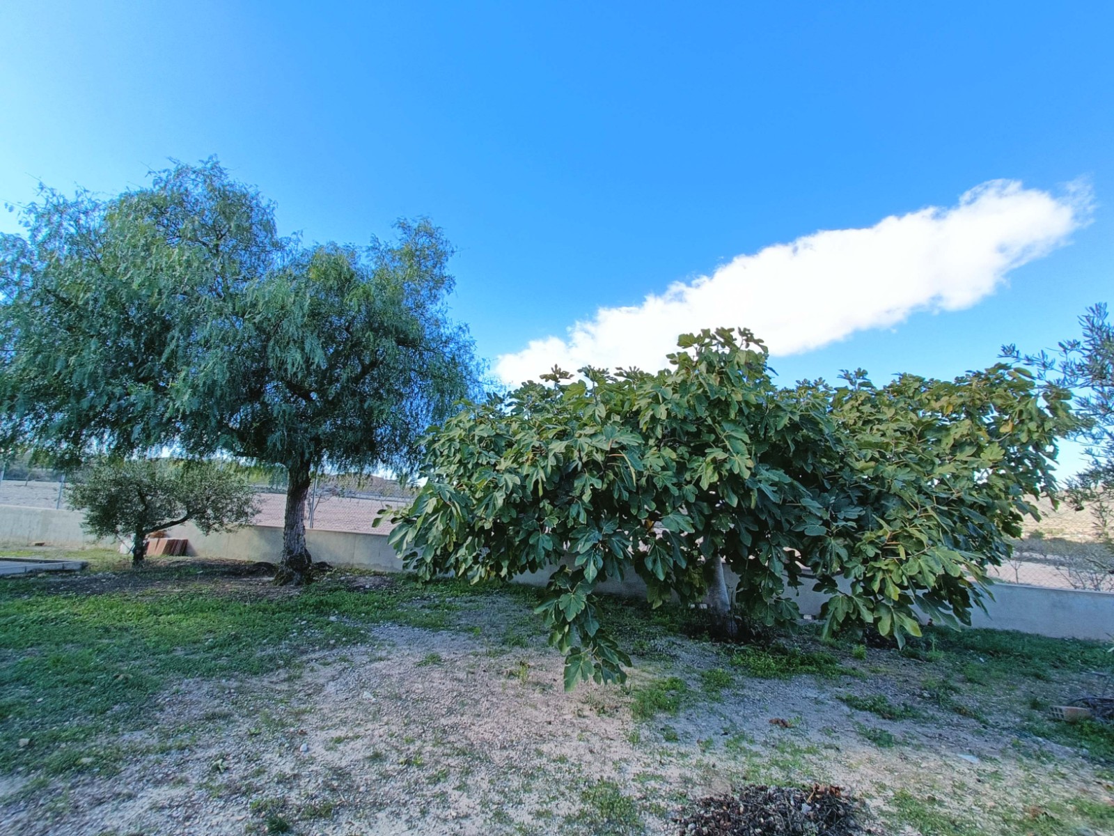 Vrijstaande villa te koop in Hondón de los Frailes