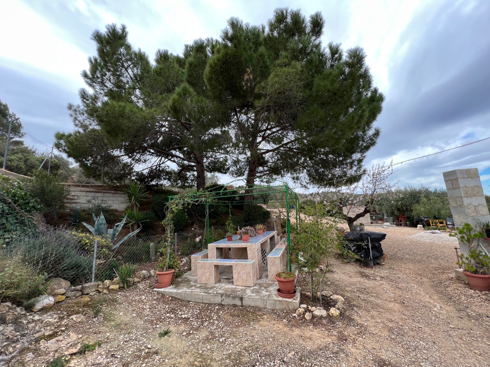 Landhaus in Hondón de las Nieves - Wiederverkauf in Alicante Dream Homes