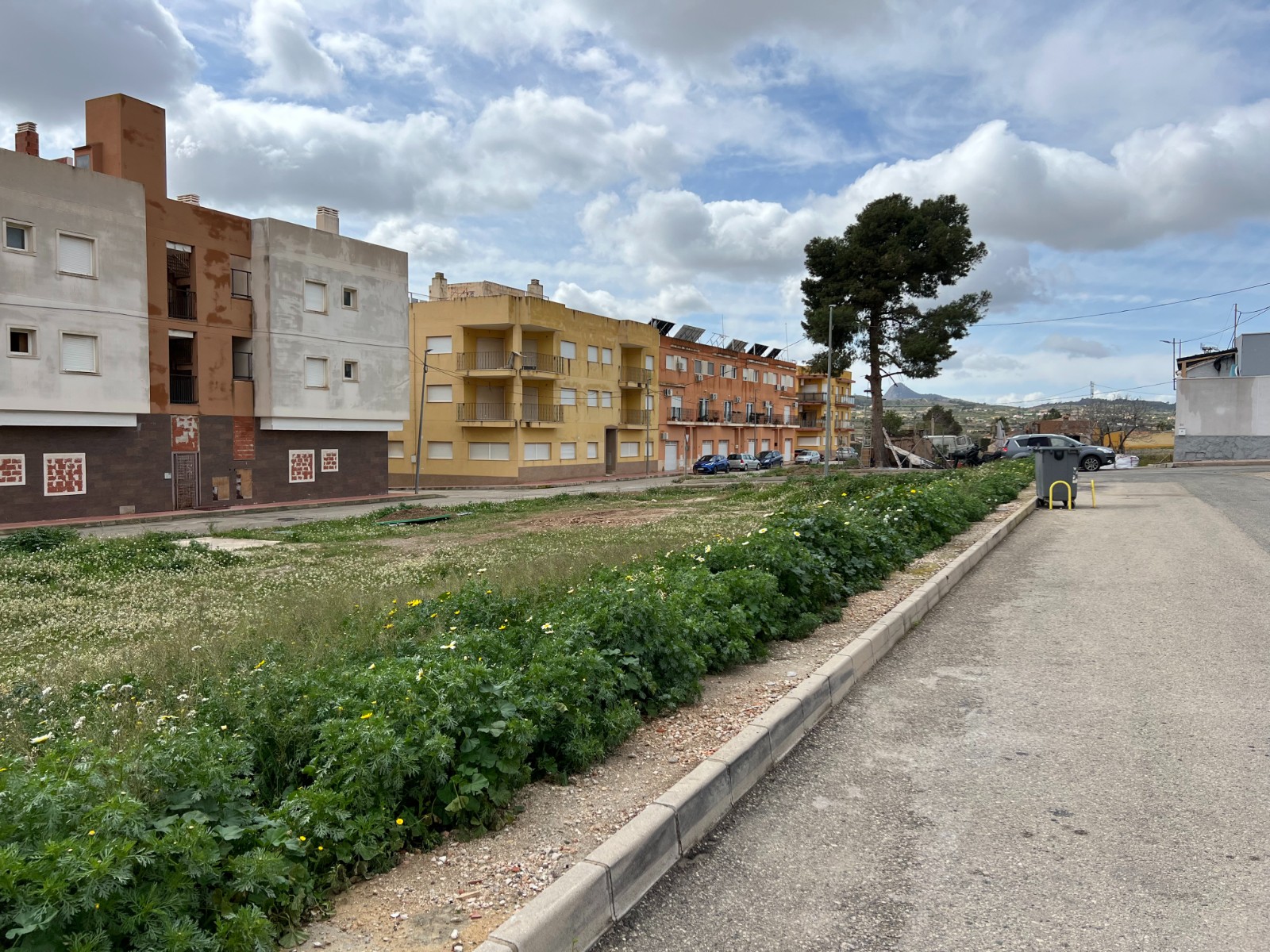 bg