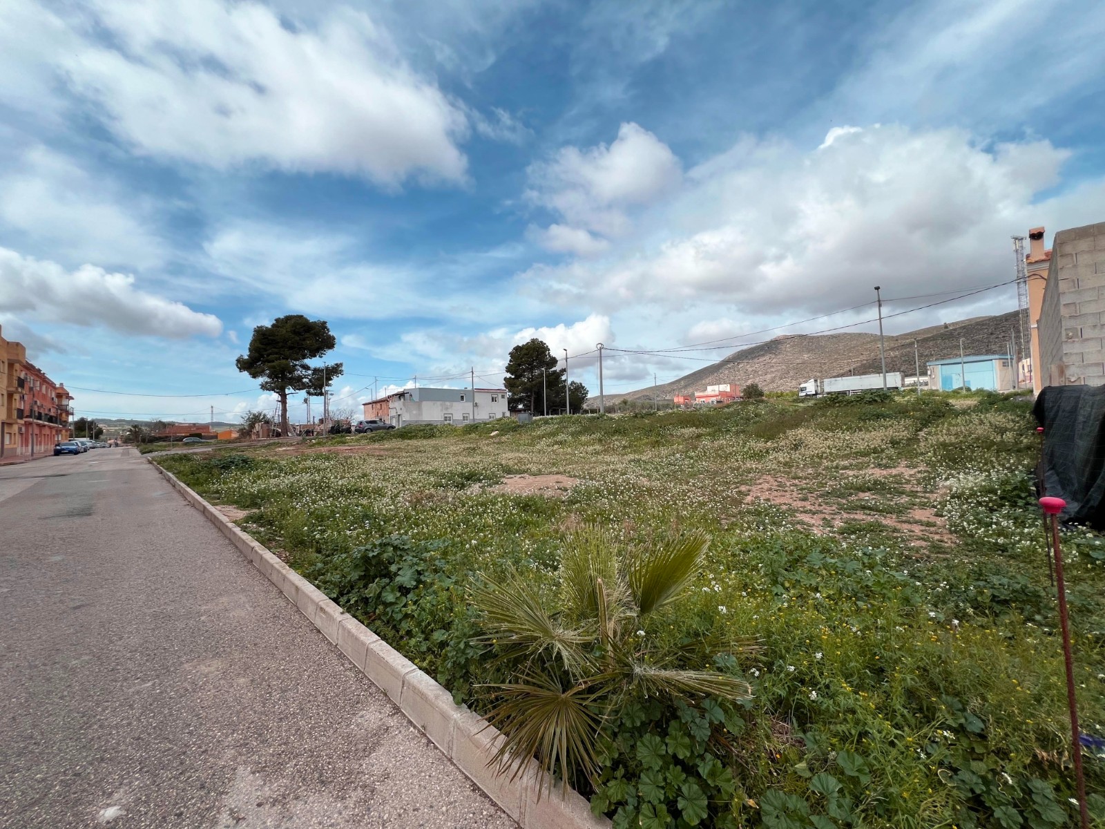 Land in Hondon de los Frailes - Image 2