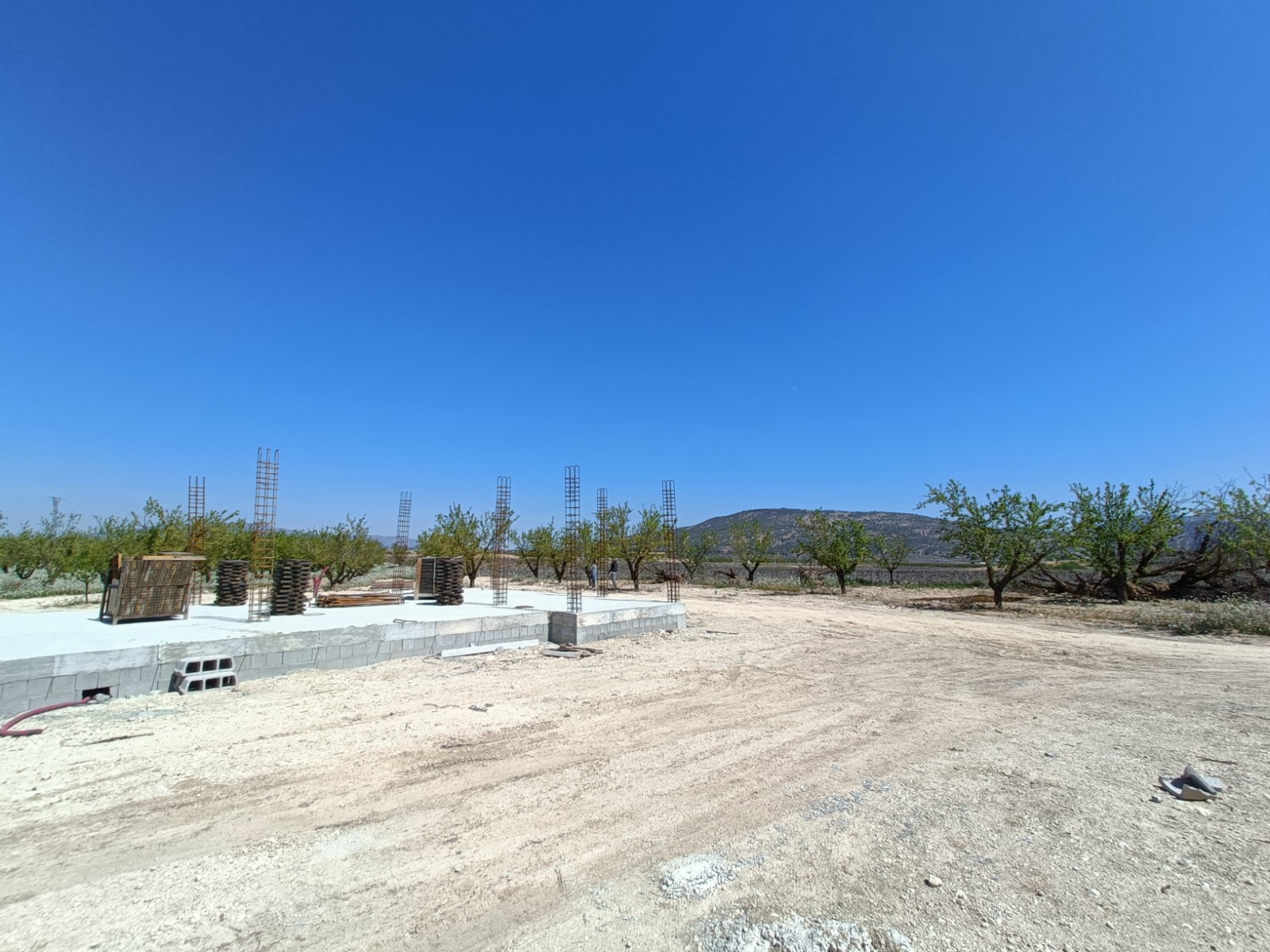 New Build Villa 3 Beds Pinoso with Private Pool and Large Plot