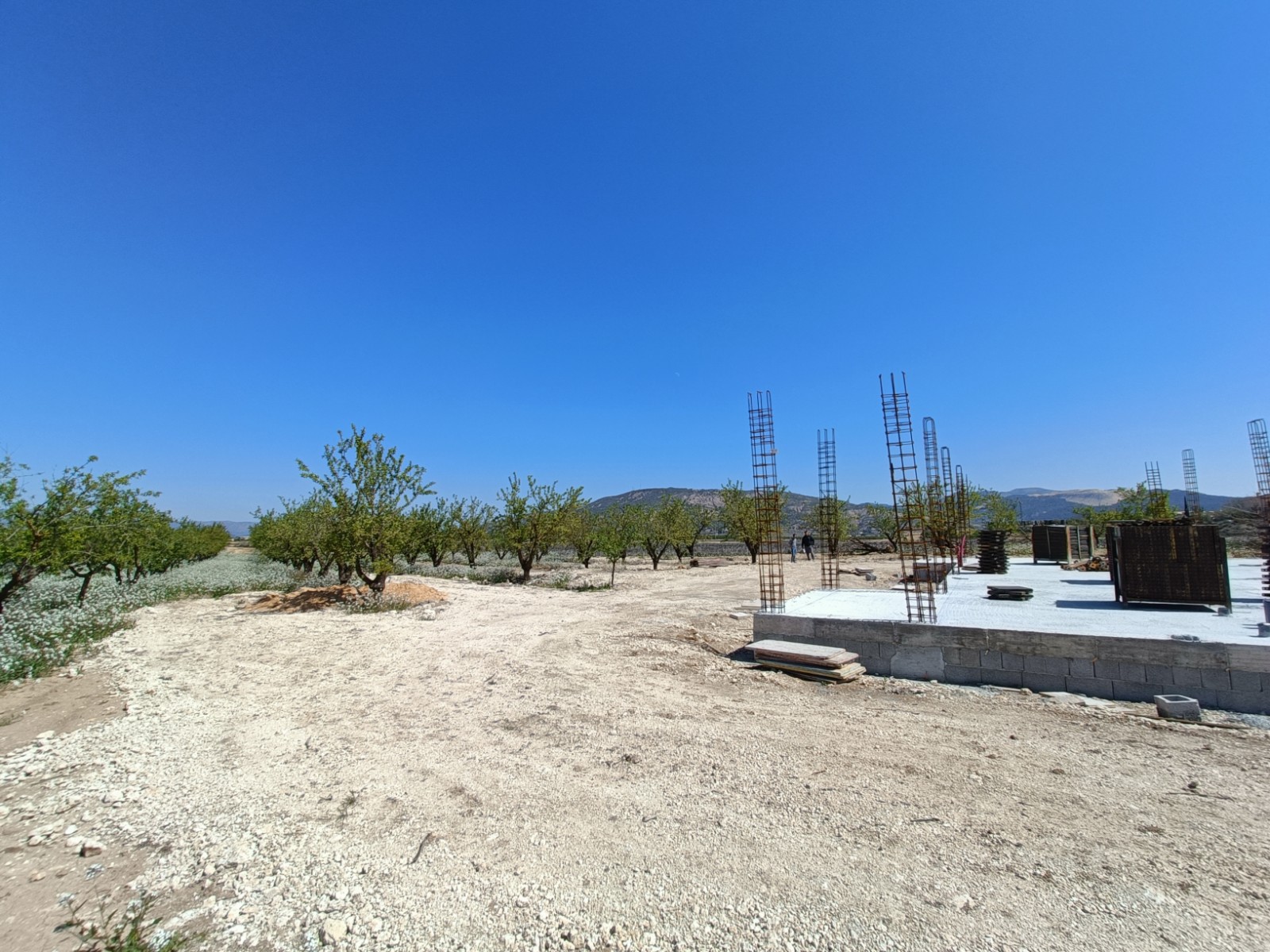 New Build Villa 3 Beds Pinoso with Private Pool and Large Plot