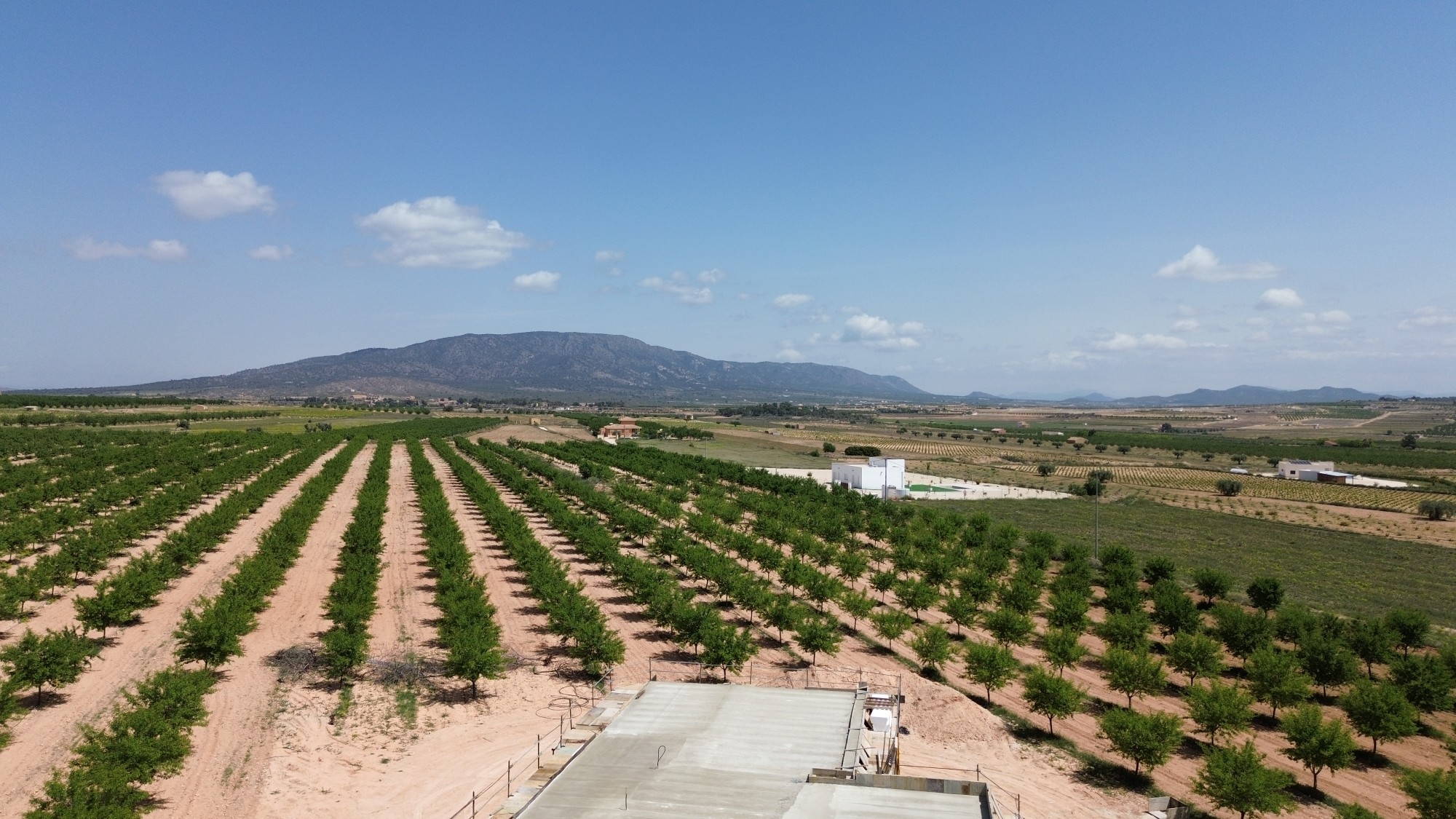 New Build Villa Three Bedrooms Pinoso with Private Pool