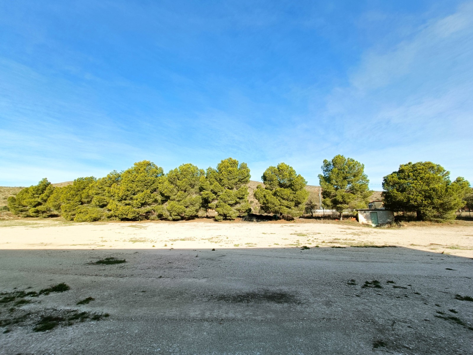 Former Winery, Hondón de los Frailes, 1929 m² Built, Large Plot