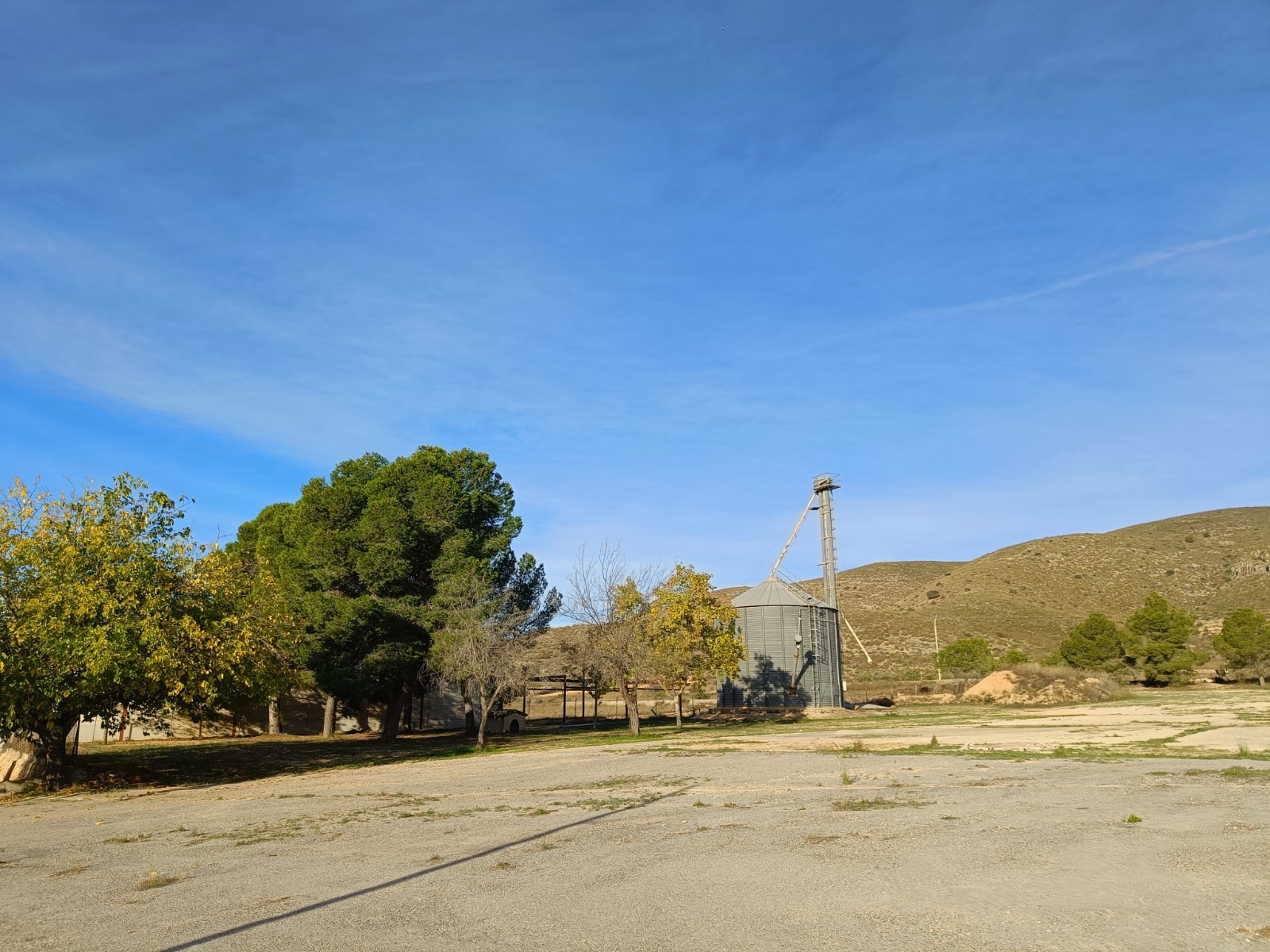 Former Winery, Hondón de los Frailes, 1929 m² Built, Large Plot