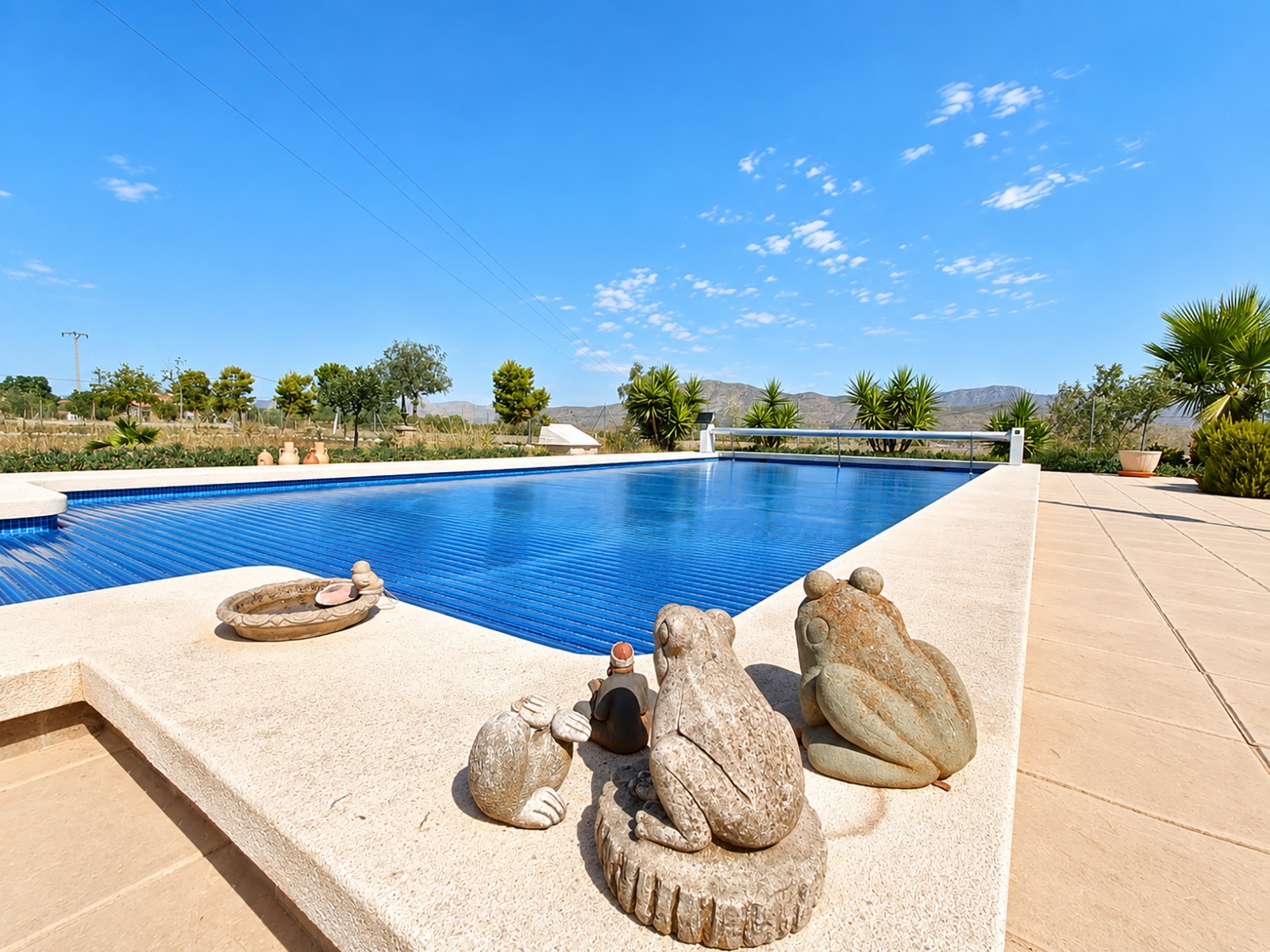 House in Hondon de los Frailes - Image 5