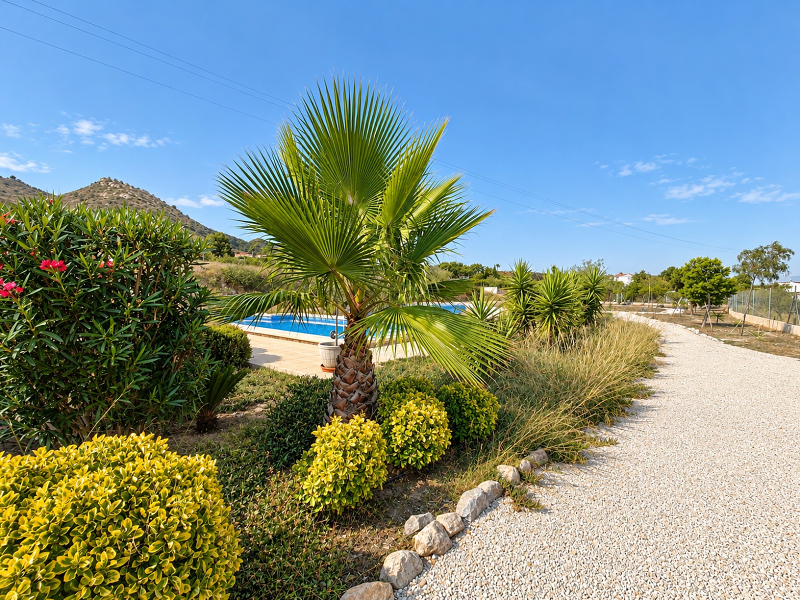 House in Hondon de los Frailes - Image 4